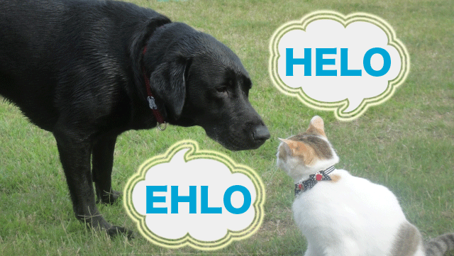 バーチャルドメイン環境の Postfix にて、メールアドレスのドメインごとに HELO (EHLO) の値を変更する
