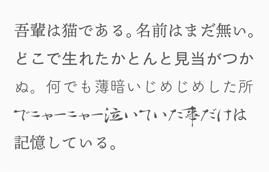 Webフォントって何？おすすめのフォントもご紹介！