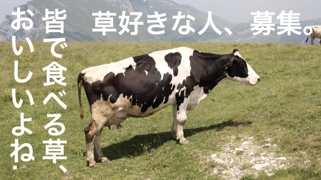 長野県で働きたいWebアナリストを募集しています！
