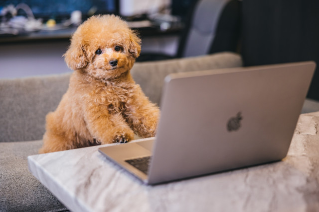【転職・就職希望者必見】Chatwork使ってますか？