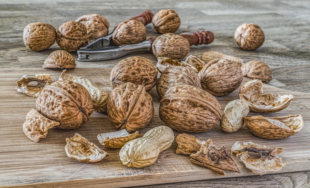 長野県に移住してきました。