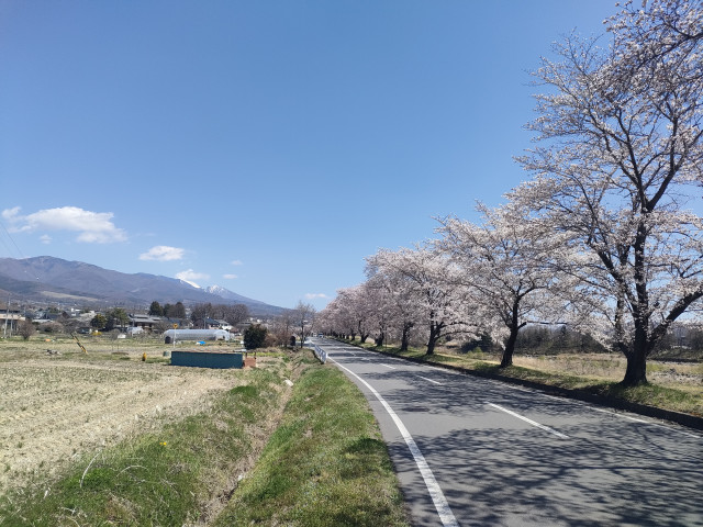 IターンやUターンを考えている方へ｜長野県で働く楽しさを伝えます